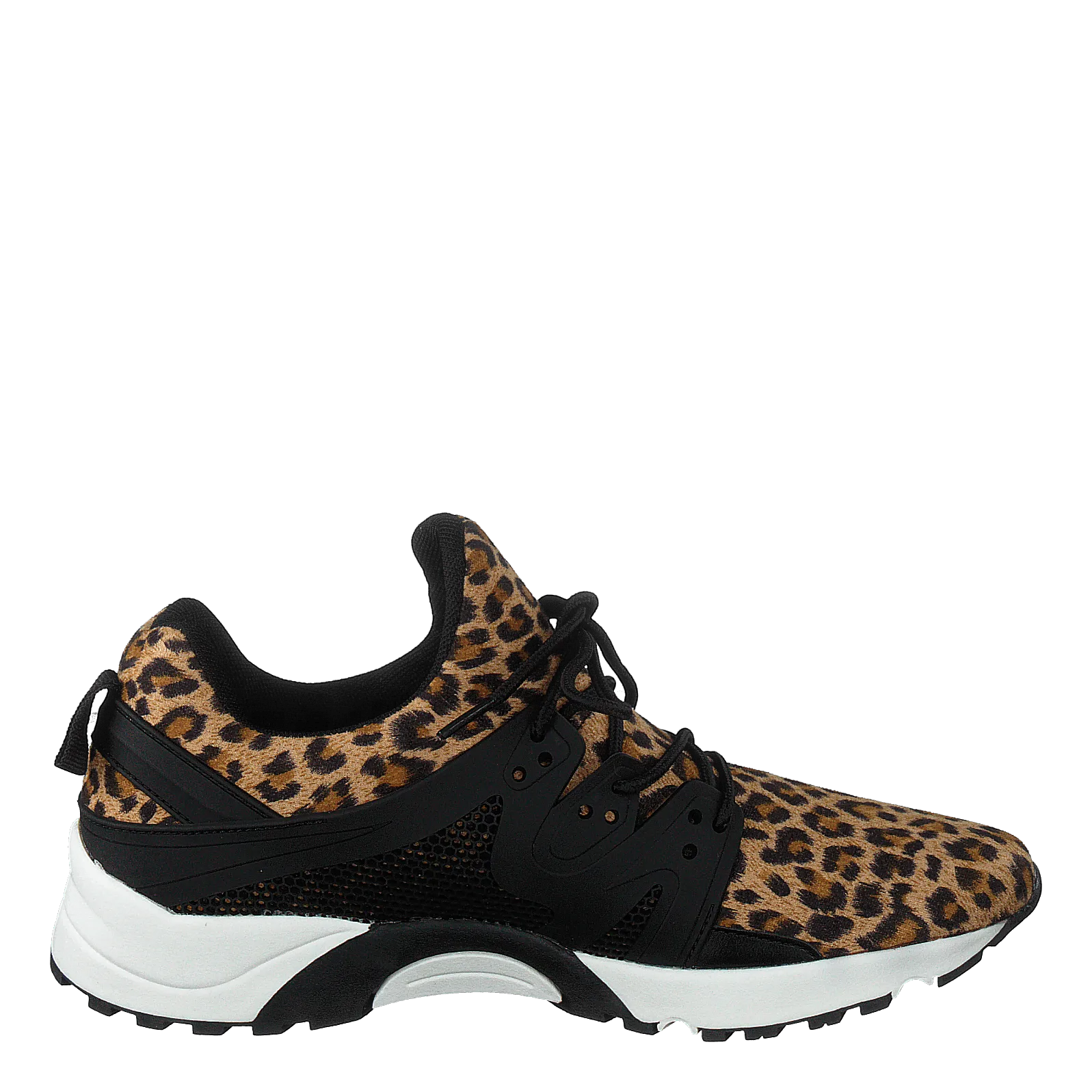 97-00798 Brown Multi
